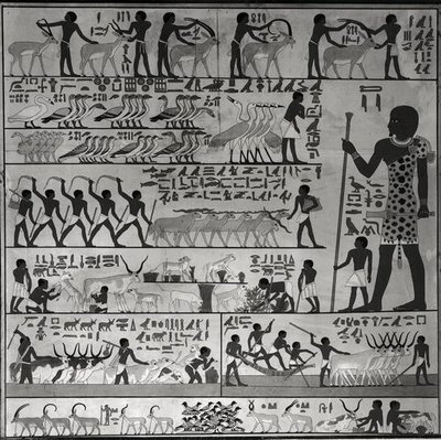 Copy of a relief from the mastaba of Ti at Sakkara by French School